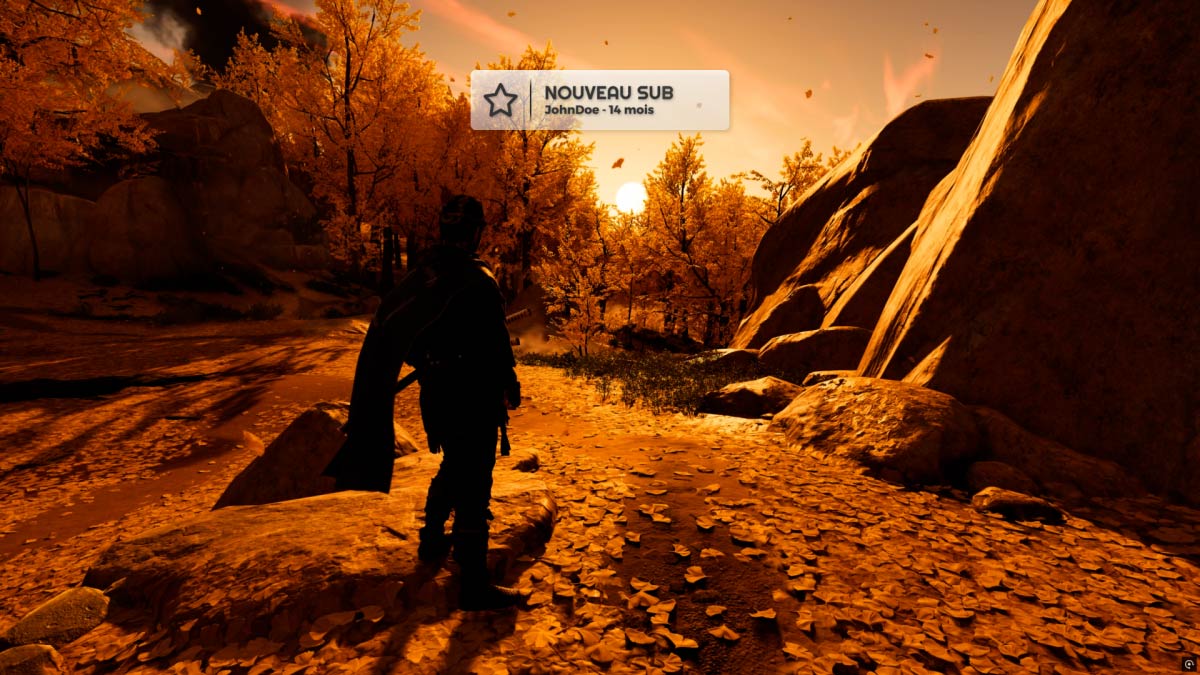 Capture d’écran des alertes blanches transparentes pour Twitch et YouTube – aperçu 2