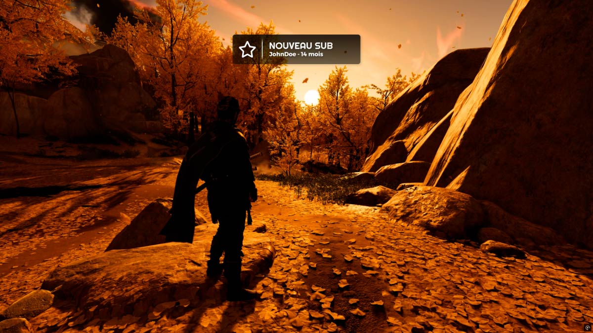 Capture d’écran des alertes blanches transparentes pour Twitch et YouTube – aperçu 2