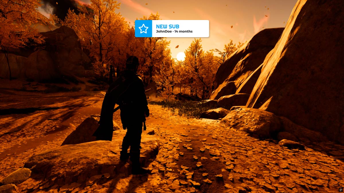 Capture d’écran des alertes blanches transparentes pour Twitch et YouTube – aperçu 2